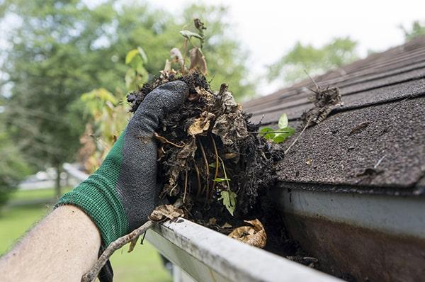 regular gutter cleaning can indeed help prevent pests from nesting in your gutters